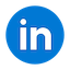 icon linkedin